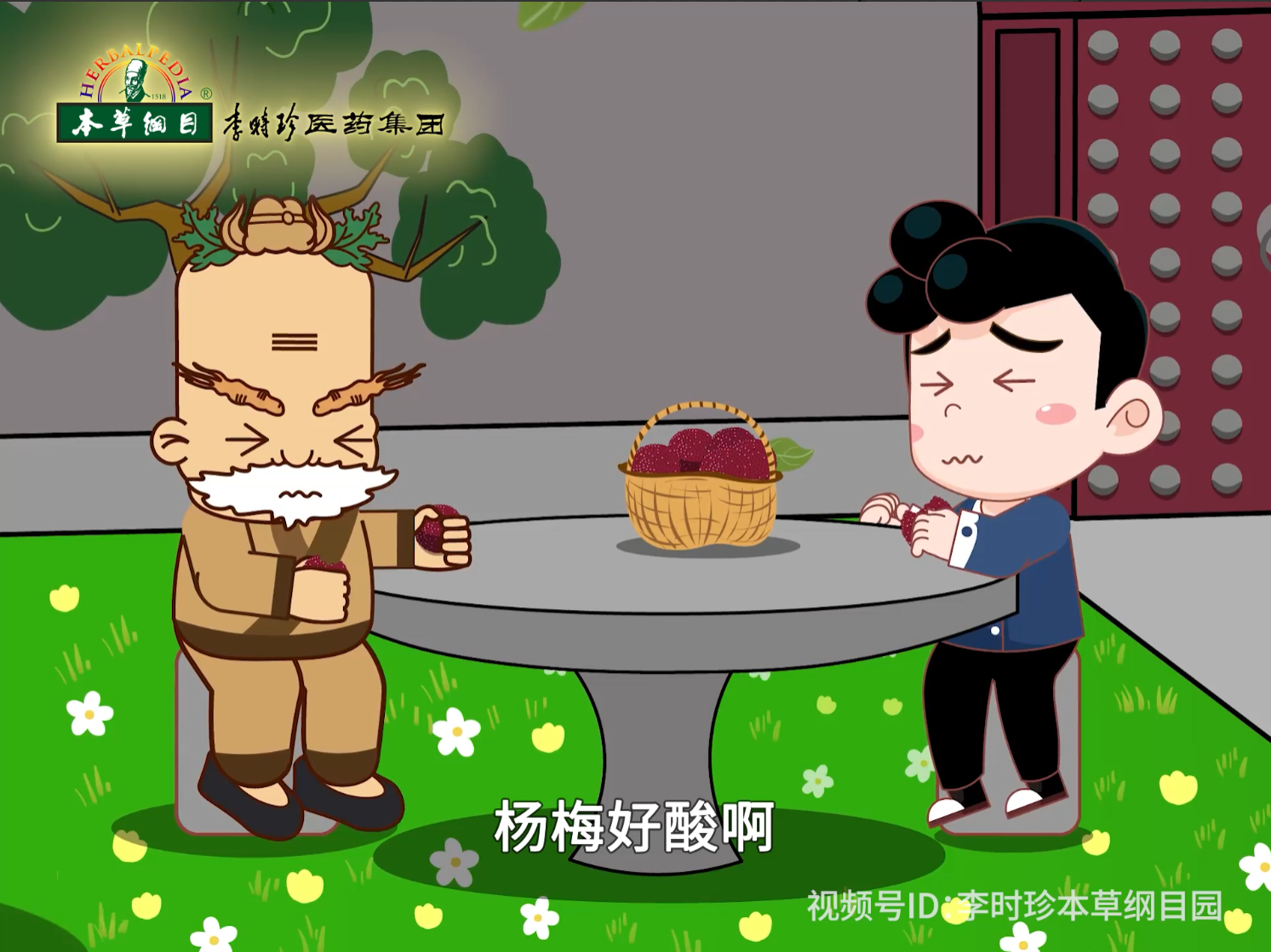 芒种来本草纲目园里食青梅，品本草沉窖美酒